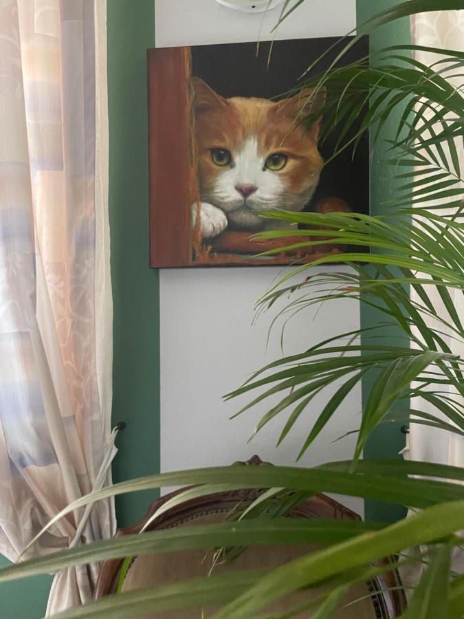 Il Giardino Di Emilia - Intero Appartamento In Villa Con Giardino Privato E Piscina Estiva Pontirolo Nuovo Eksteriør billede