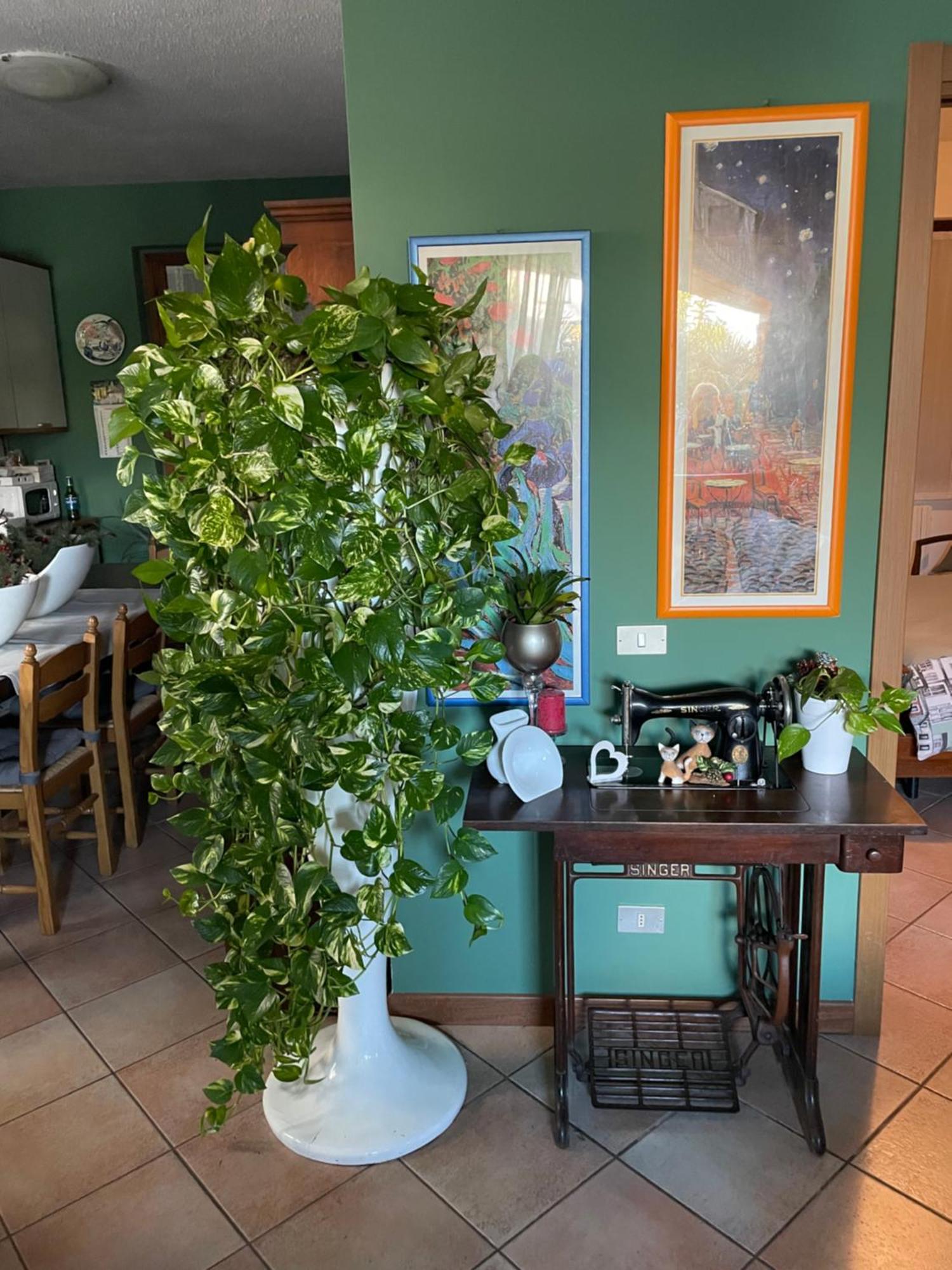 Il Giardino Di Emilia - Intero Appartamento In Villa Con Giardino Privato E Piscina Estiva Pontirolo Nuovo Eksteriør billede