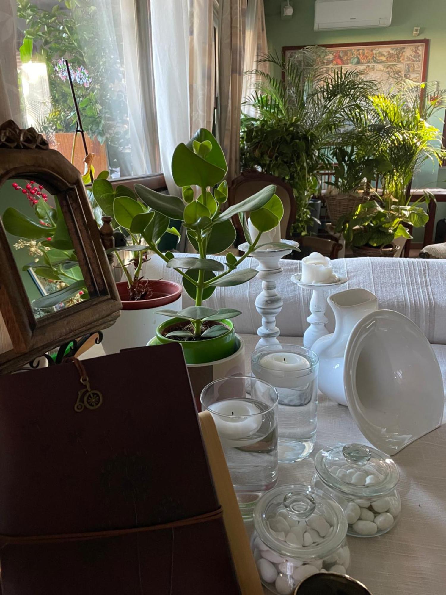 Il Giardino Di Emilia - Intero Appartamento In Villa Con Giardino Privato E Piscina Estiva Pontirolo Nuovo Eksteriør billede