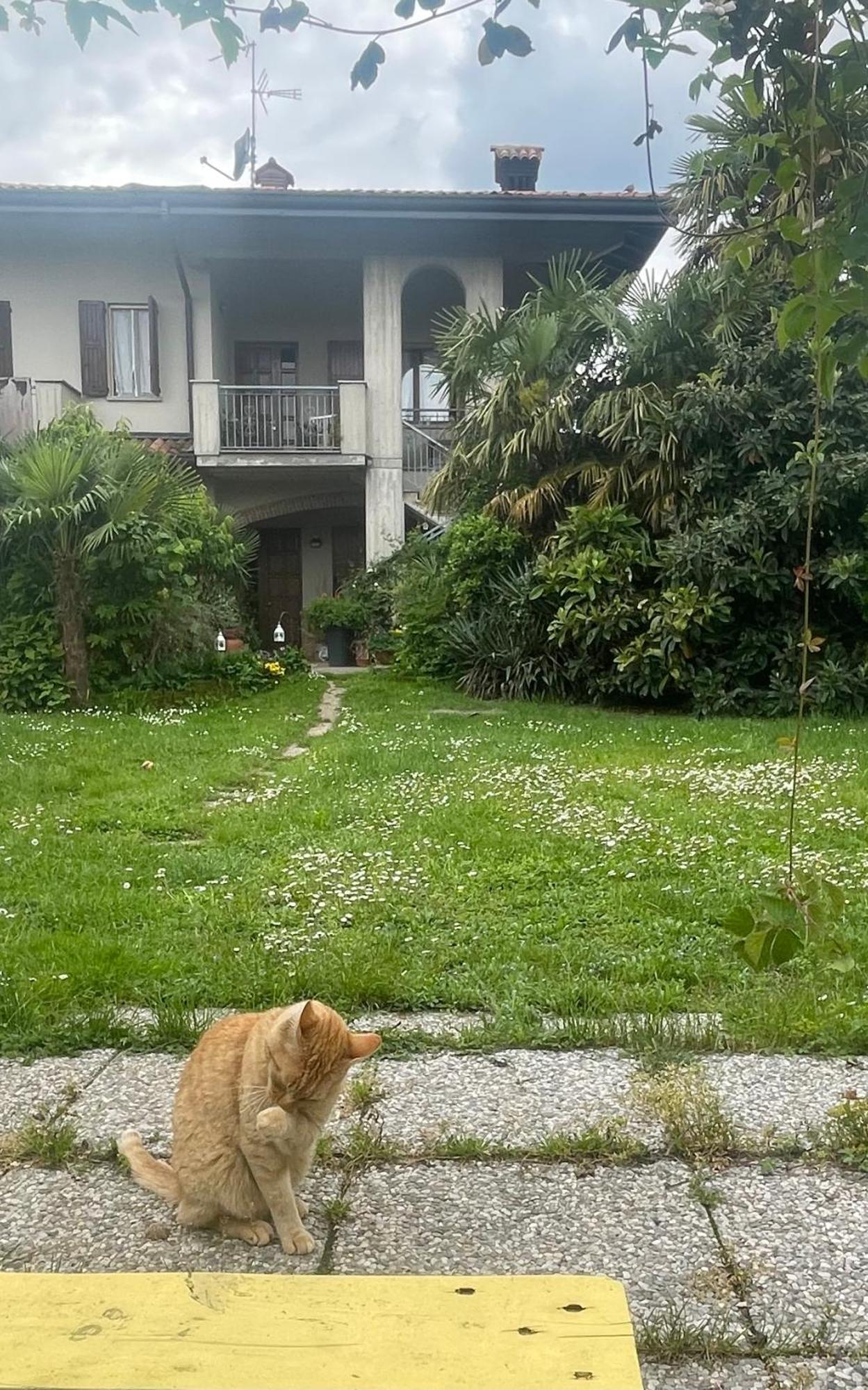 Il Giardino Di Emilia - Intero Appartamento In Villa Con Giardino Privato E Piscina Estiva Pontirolo Nuovo Eksteriør billede